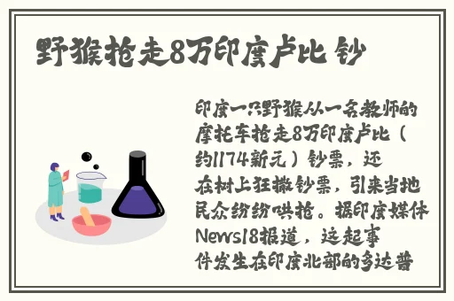 结衣波多野 种子